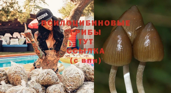 соль курить ск Аркадак