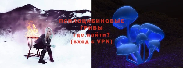 бошки Армянск