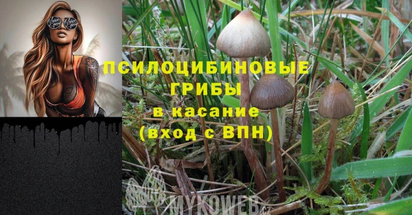 гидра Алексин